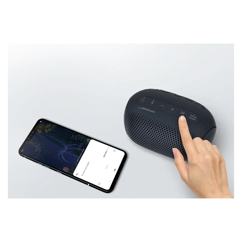 Boks Bluetooth LG PL2