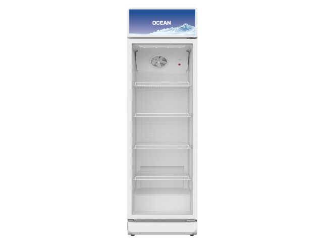 Frigorifer Ocean osbcal 301 W 4